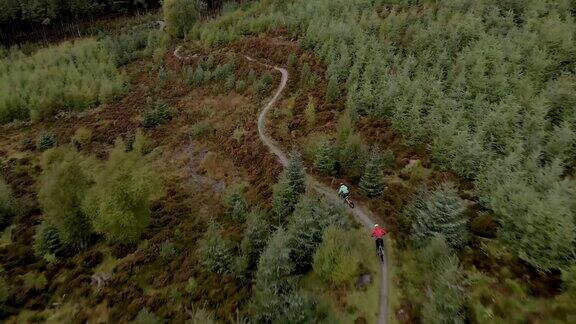 头顶上的无人机视图两个山地自行车沿着森林自行车道骑行