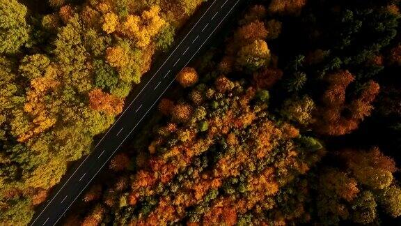 乡间小路和秋天的森林