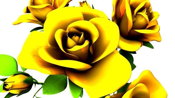 白色背景上的黄色玫瑰花束
