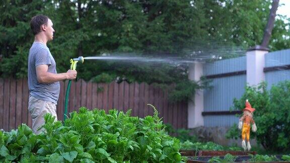 一名男子在压力下向花坛上喷洒一种水溶液园艺