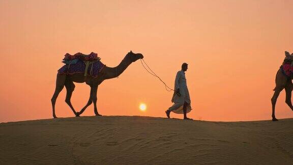 日落时分在塔尔沙漠的沙丘上放牧骆驼的印度贝都因人拉贾斯坦邦旅行大篷车旅游背景探险旅行印度拉贾斯坦邦斋沙默尔