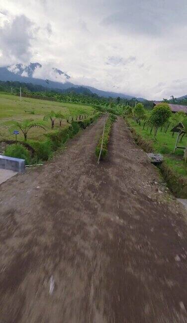 垂直视频土路热带山谷亚洲稻田乡村