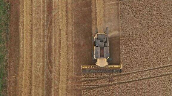 鸟瞰图广阔的农田与收割机在瑞典收获作物
