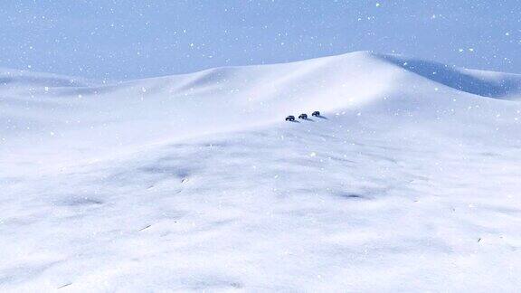 越野车在冰雪覆盖的北极沙漠中行驶