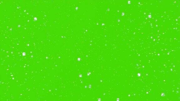 雪花飘落在绿色的屏风上