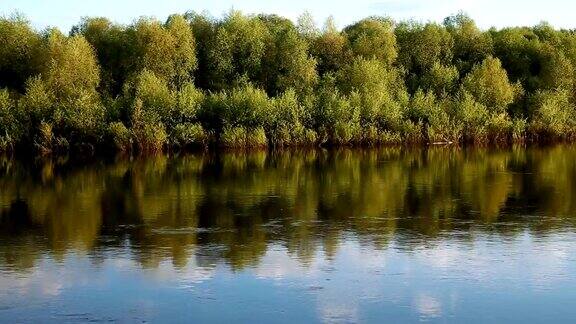 安静的河流和绿色的树木