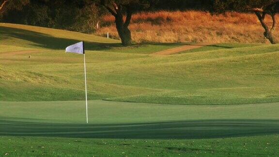 高尔夫球场洞绿色和旗帜