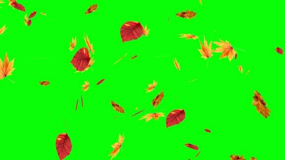 秋叶落在绿色屏幕上色度键编辑背景