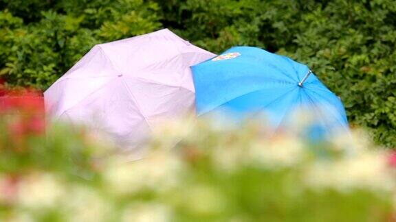 情侣们撑着雨伞坐在公园长椅上风雨交加