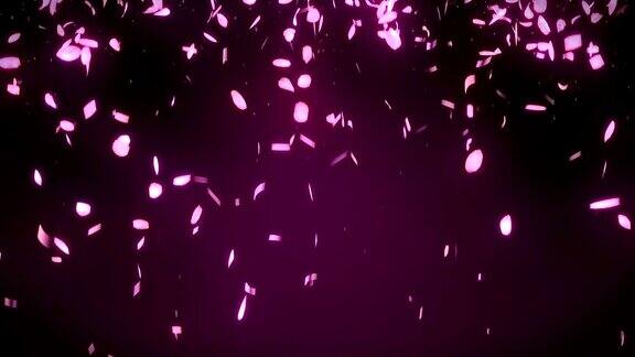 樱花花瓣落在粉红色的背景上循环闪烁动画