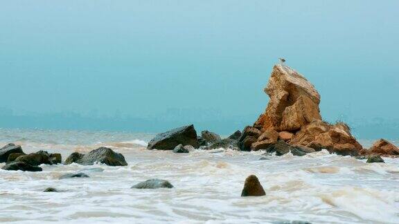 汹涌的大海和悬崖边的海鸥