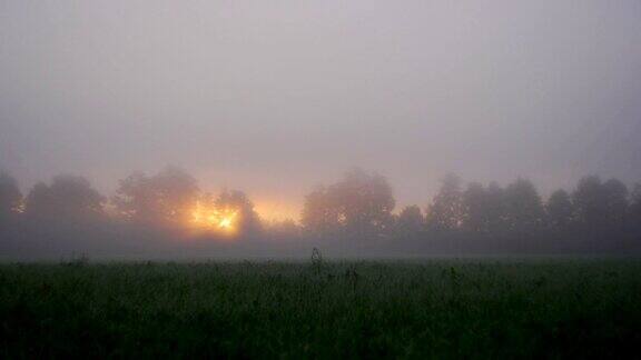 雾蒙蒙的日出