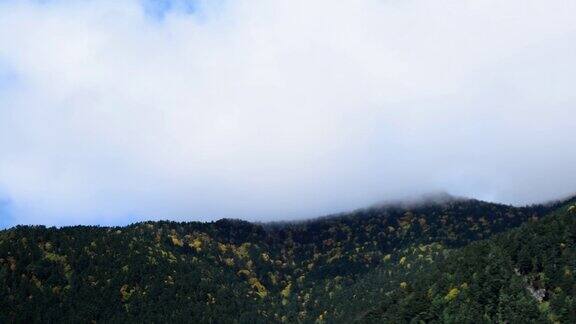 多莉拍摄的时间流逝树叶山和天空