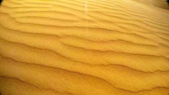 在拉贾斯坦邦近景中风慢慢地移走黄色沙丘的颗粒就像沙漠中的波浪
