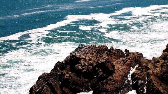 海鸟栖息在海面上一块突出的岩石上