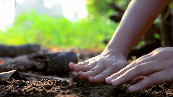 女人的双手在大地上播种用自然环境的声音浇灌