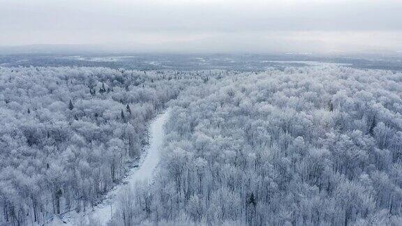 暴风雪后冬季北方自然森林的4K航拍视频魁北克加拿大