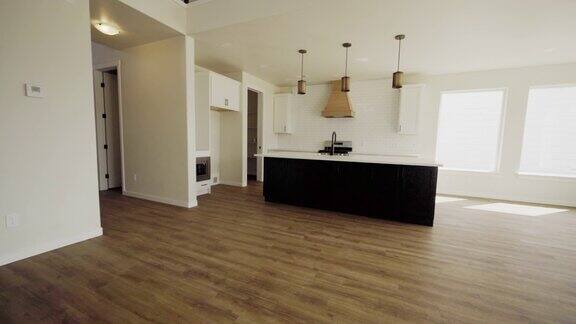 开放式概念全新豪华住宅木地板专业厨房客厅和壁炉