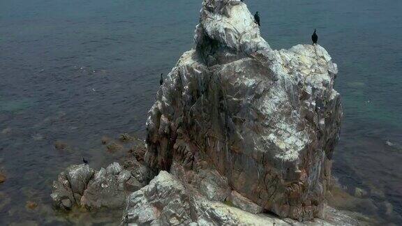 上面有海鸟的岩石