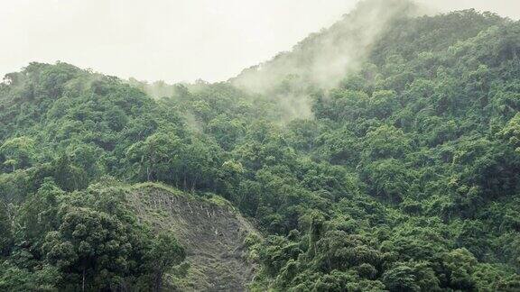 4k时间间隔:台湾乌来青山上的云雾雨林