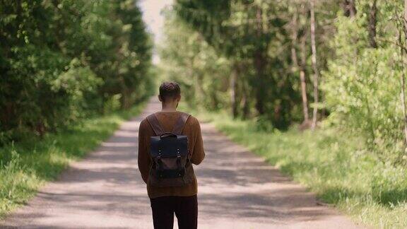 慢镜头:一个年轻人在秋天的森林里徒步旅行一个背着背包的活跃健康的白种男人在偷木头男游客与徒步森林后视图休闲生物旅游徒步旅行