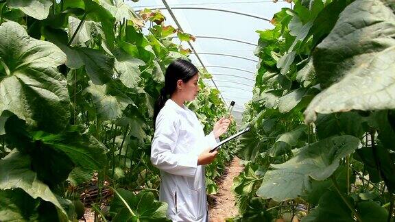 生物技术女性工程师