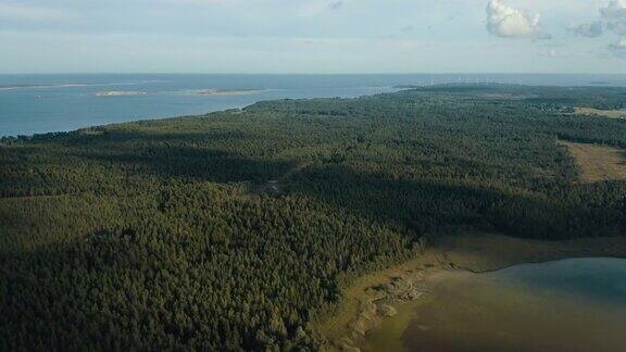 空中拍摄森林和海洋远处有风车发电厂