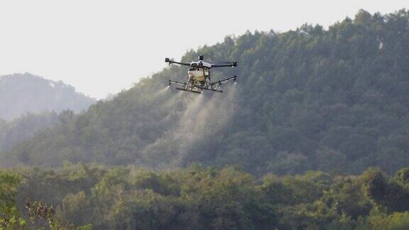 无人机在稻田喷洒化学品