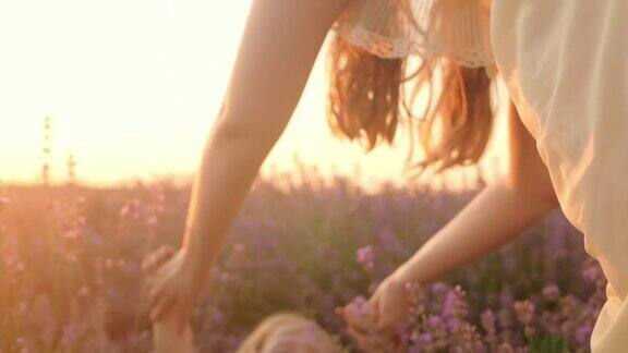 慢镜头宝宝和妈妈在薰衣草地里女孩快乐微笑爱花拥抱香薰石油农贸一家人在一起跳跃、苍蝇