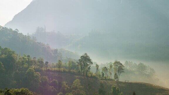 清晨热带山脉上空雾滚滚而过