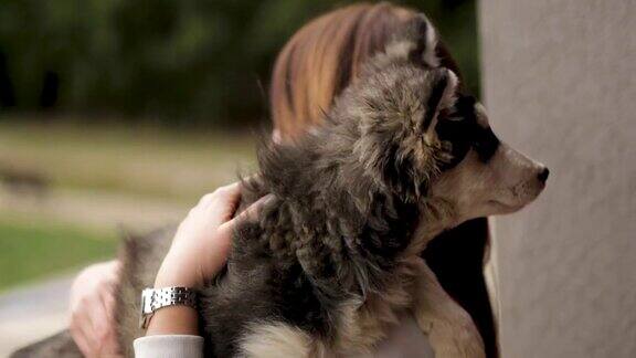 年轻女子抱着西伯利亚哈士奇小狗
