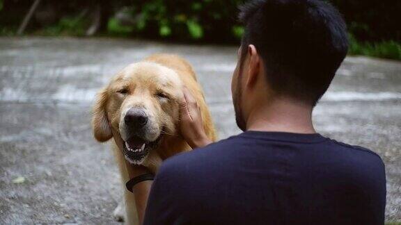 亚洲男子抚摸金毛猎犬的头