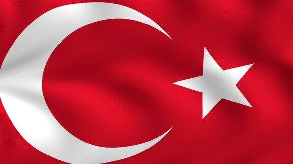 挥舞着土耳其国旗