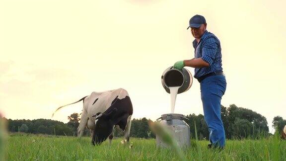 牛奶新鲜在绿色的草地上法默正在把鲜奶倒进一个罐子里背景是一头奶牛挤奶奶牛场乳制品农业