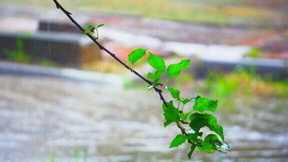 下雨