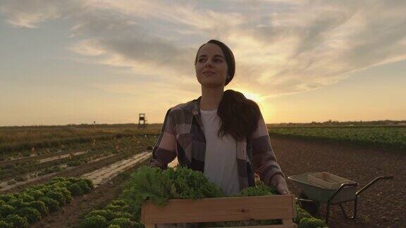 日落时分一名年轻女子背着一箱蔬菜穿过田野