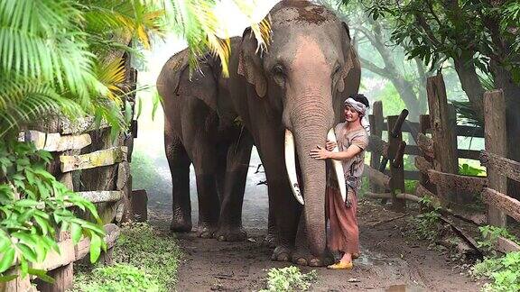 在一个乡村的道路上它代表了大象的生活方式爱和人与大象的关系
