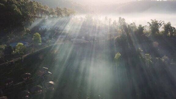鸟瞰图无人机在雾或云在山湄洪森泰国