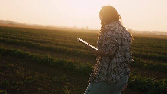 年轻的女农学家在日落的有机农场用数码平板检查植物