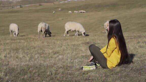 美丽的女孩坐在草地上看着那些被咬碎的羊