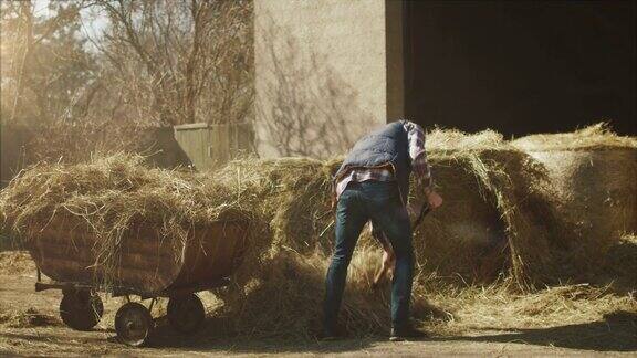 一个阳光明媚的日子一名男子正在用干草叉清理农场院子里的干草
