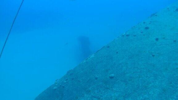 海难希尔玛胡克博内尔岛加勒比海水下1080P视频