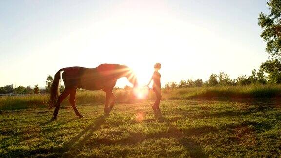 近距离观察:年轻女子与她的种马走在草地上的日落