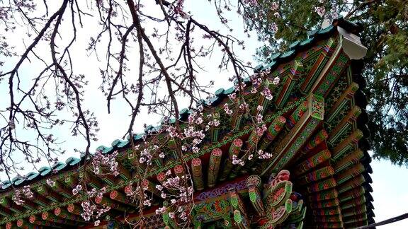 韩国传统的樱花屋顶
