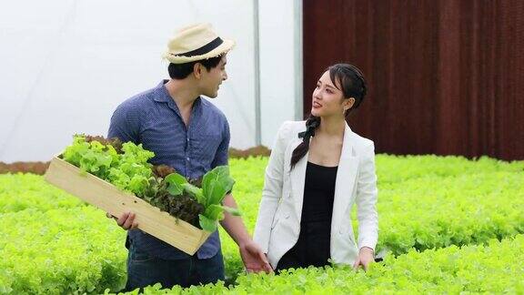小型企业和家庭企业亚洲夫妇业主有机蔬菜农场正在收集温室农产品温室农场有机水培蔬菜