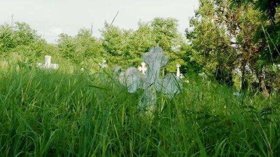 古老的墓地白色的十字架长满了绿色的草地