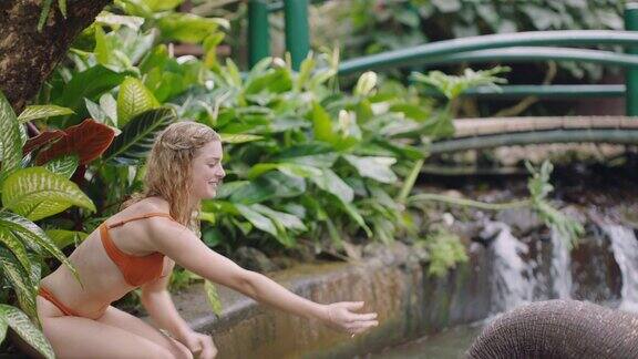 美女在动物园喂大象在游泳池玩耍溅水女游客在热带森林保护区享受异国情调的假期