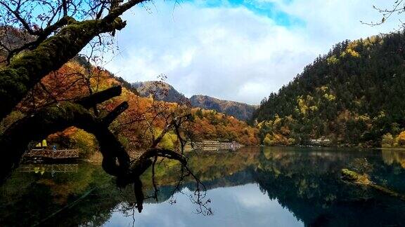 中国九寨沟的五彩湖瀑布森林山脉