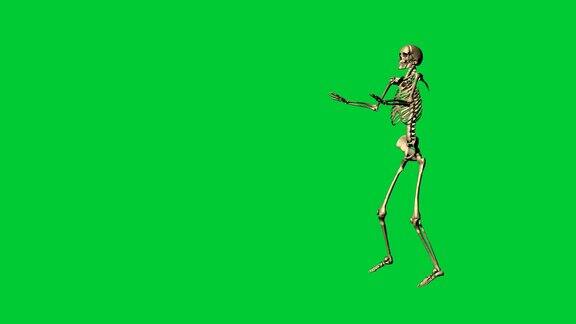 空手道骨骼运动的3d动画-在绿色屏幕上分离