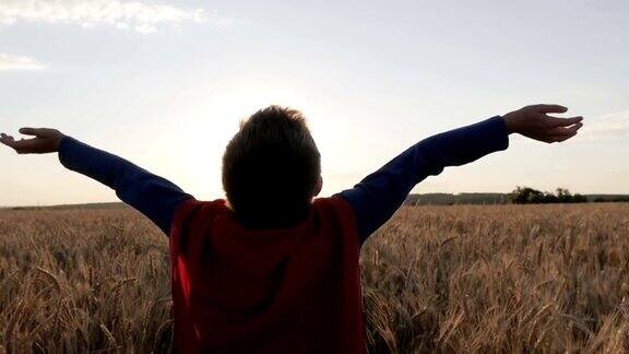一个披着超人斗篷的男孩站在金色的田野里